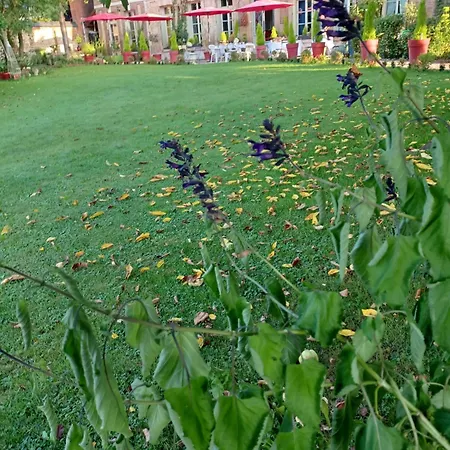 Demeure En Seine - Et D'hote En Bord De Seine 4* Caudebec-en-Caux